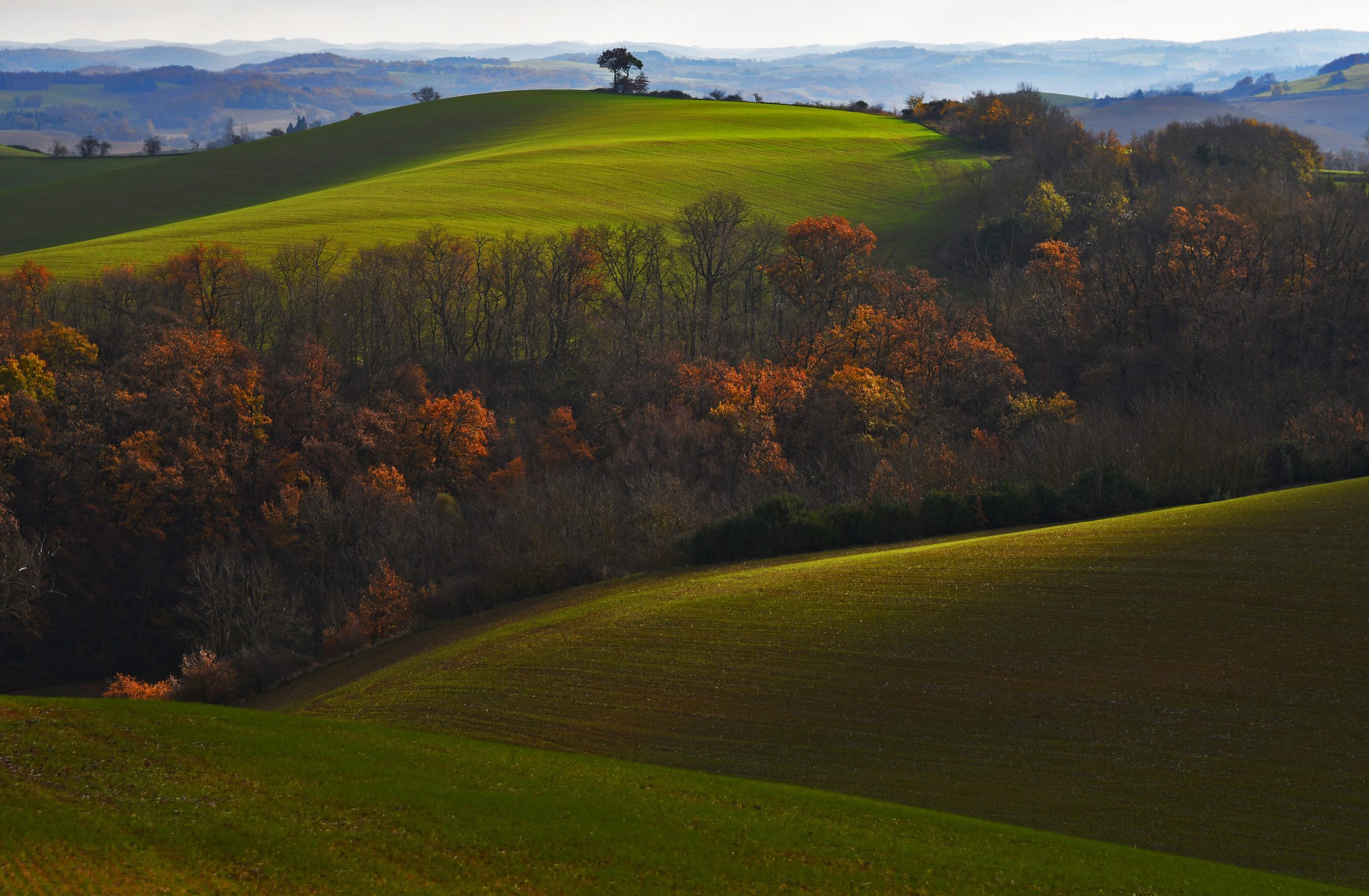 Paysage du Lauragais